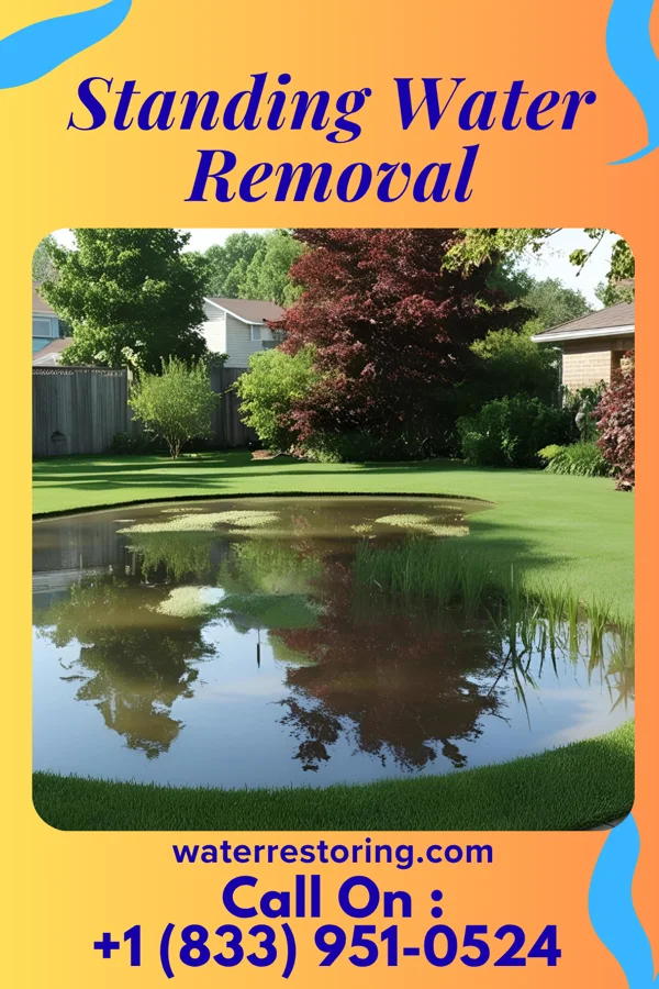 Standing Water Removal in Madison, IN
